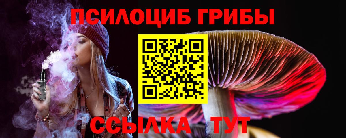 Ипатово  Псилоцибиновые грибы GOLDEN TEACHER  Вход с VPN 